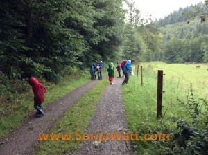 Wildkräuterwanderung