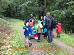 Wildkräuterwanderung