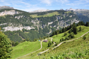 Rohkost auf Reisen, rohköstlich reisen, Almurlaub, Urlaub mit Hunden