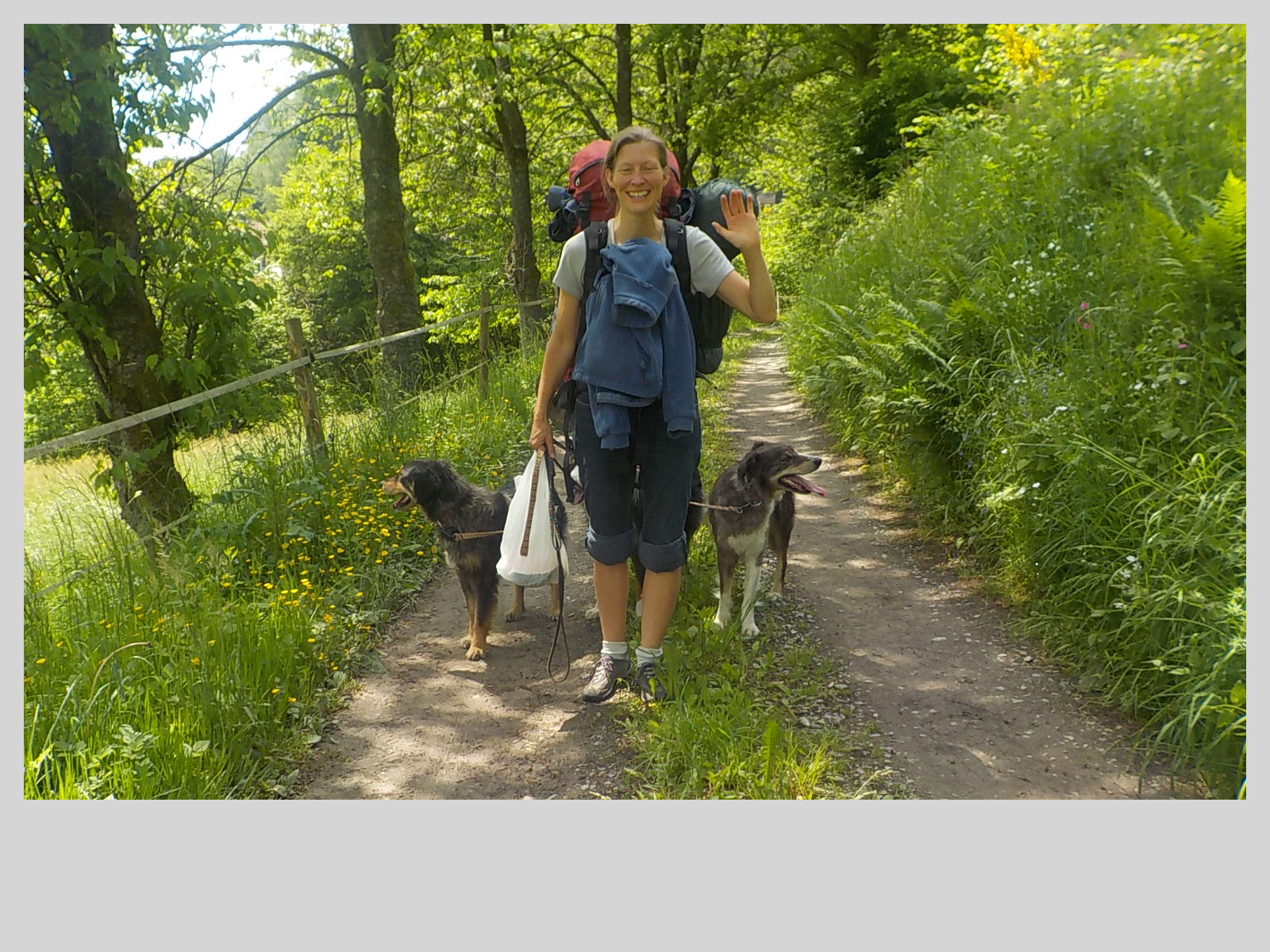 Rohkostwanderung mit Hunden, Sonja Watt