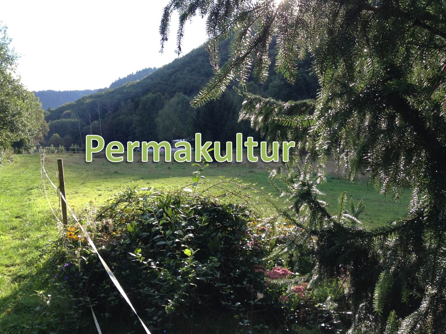 Permakultur, Naturgarten, Garten