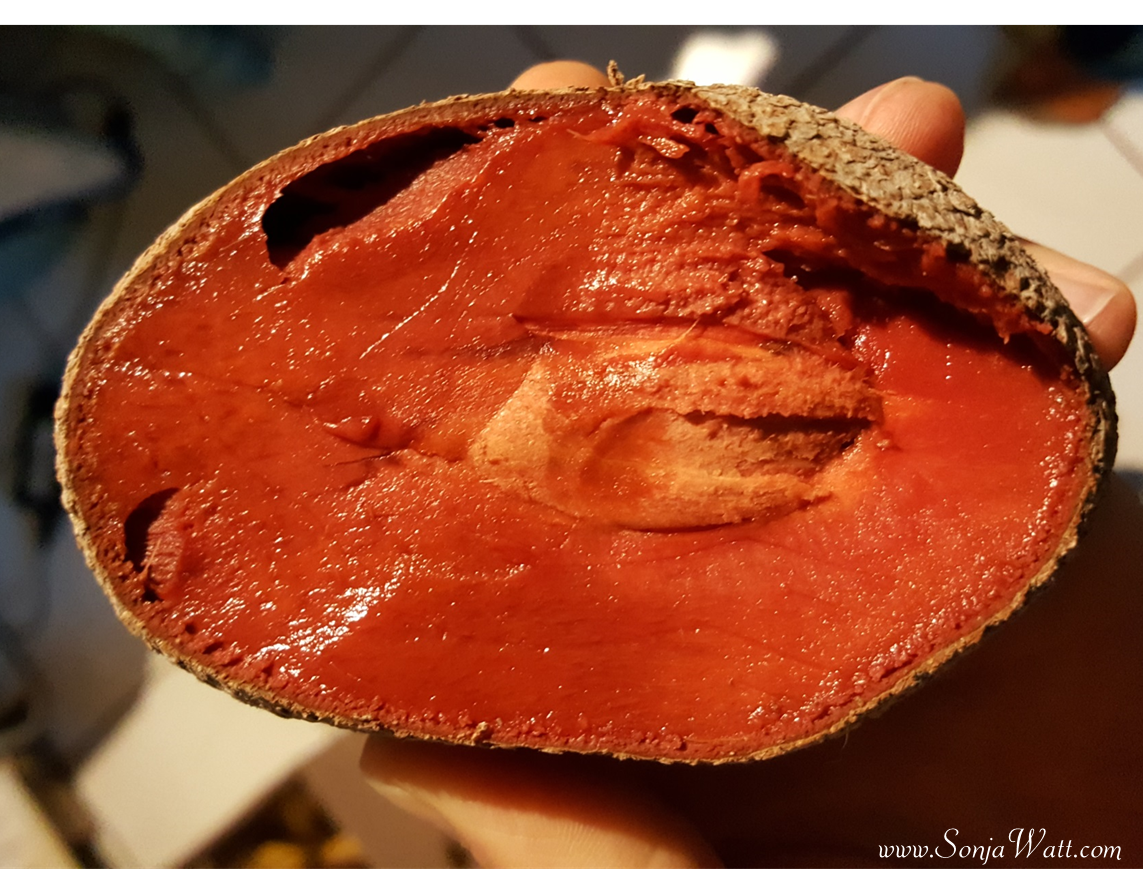 Sapote Mamay, Tropenfrüchte, Rohkost