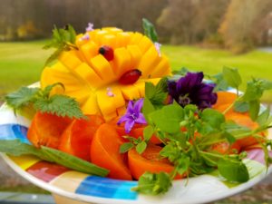 Rohkost, Frischkost, Rohkost-Challenge, Rohkostrezepte, glutenfrei, vegan