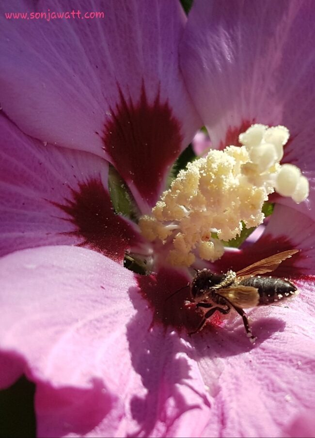 selbstbestimmt leben, frei entscheiden, nichts müssen