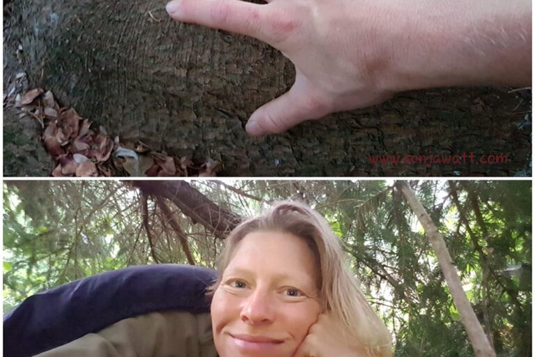 Naturkind, Verbindung, Fähigkeiten auspacken, zurück zu den Wurzeln